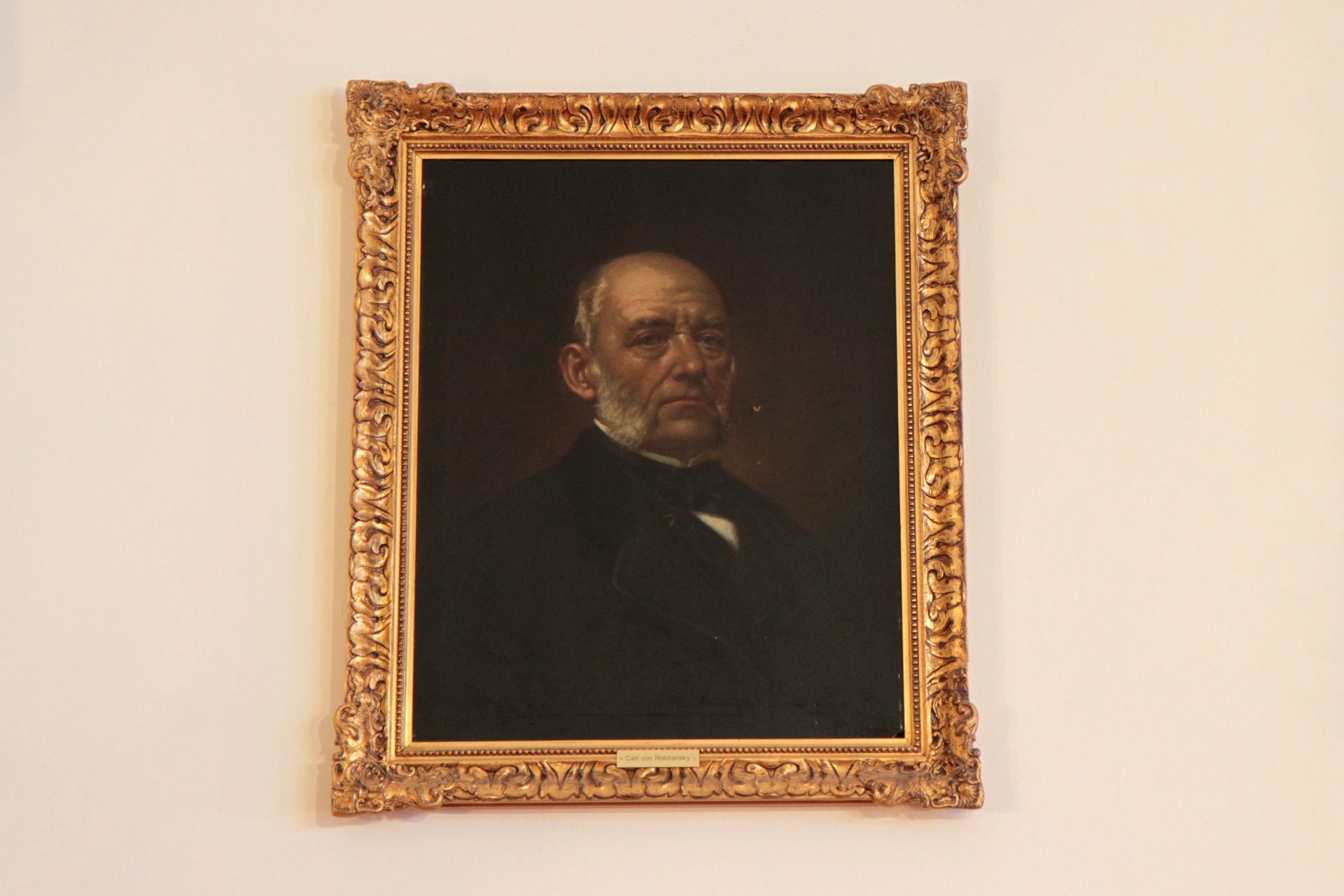 Carl von Rokitansky's portrait, Billrothhaus, Vienna (145).JPG